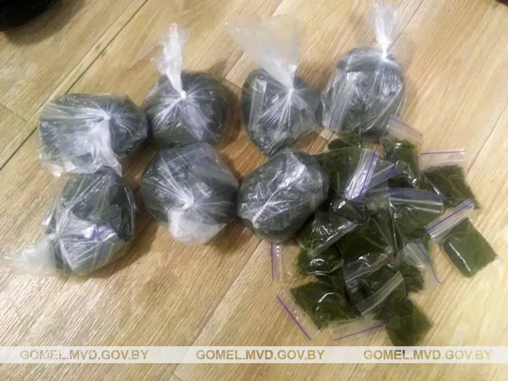 Наркоконтроль задержал гомельчанина, который хранил для продажи почти 2 кг насвая